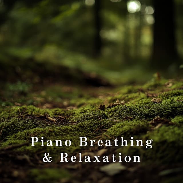 Piano Breathing & Relaxation - Relaxing BGM Project