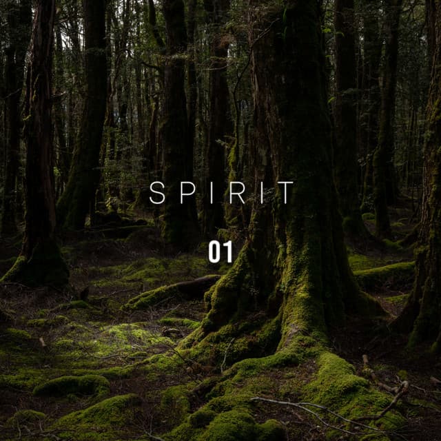 Spirit 01 - Rainforest Sounds