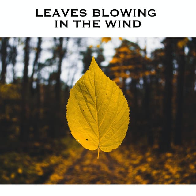 Leaves Blowing In The Wind - White Noise Radiance