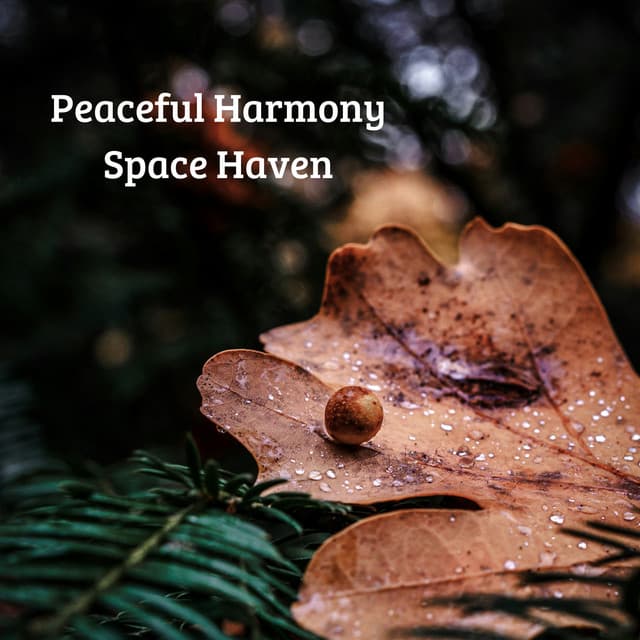 Peaceful Harmony Space Haven - Música Relajante