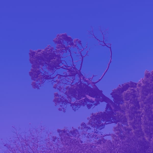 Backdrop for Kundalini Yoga - Yoga Music Moments