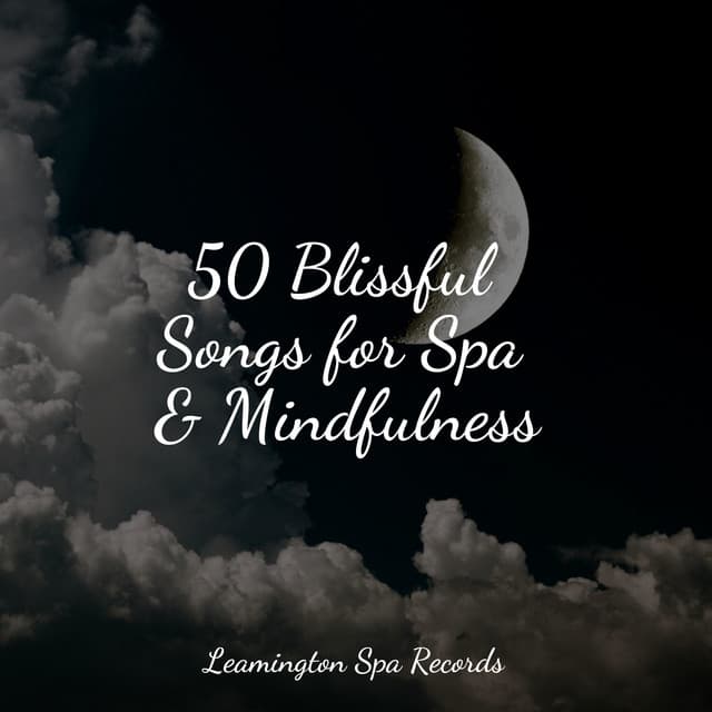 50 Blissful Songs for Spa & Mindfulness - Rain Spa
