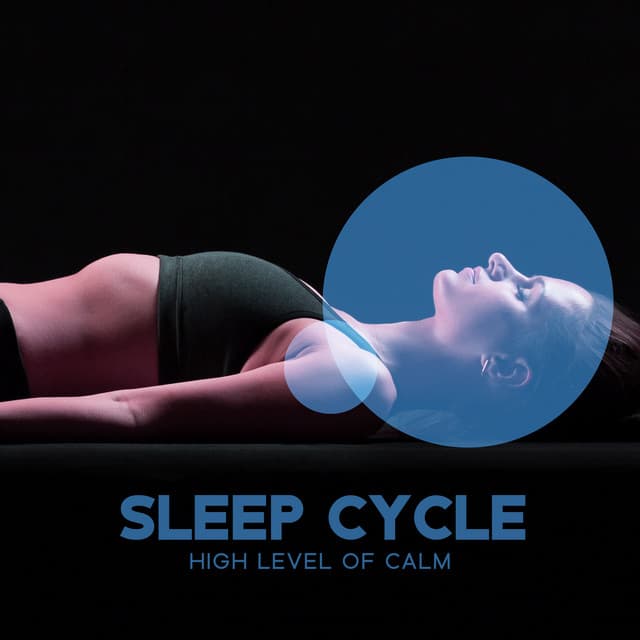 Sleep Cycle: High Level of Calm - Soothing Music Collection