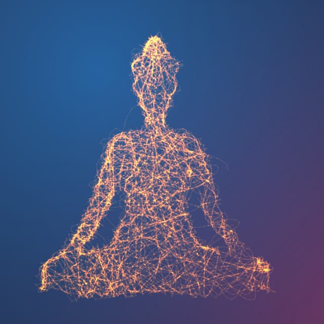 Subtle Energy - Rose Wanders