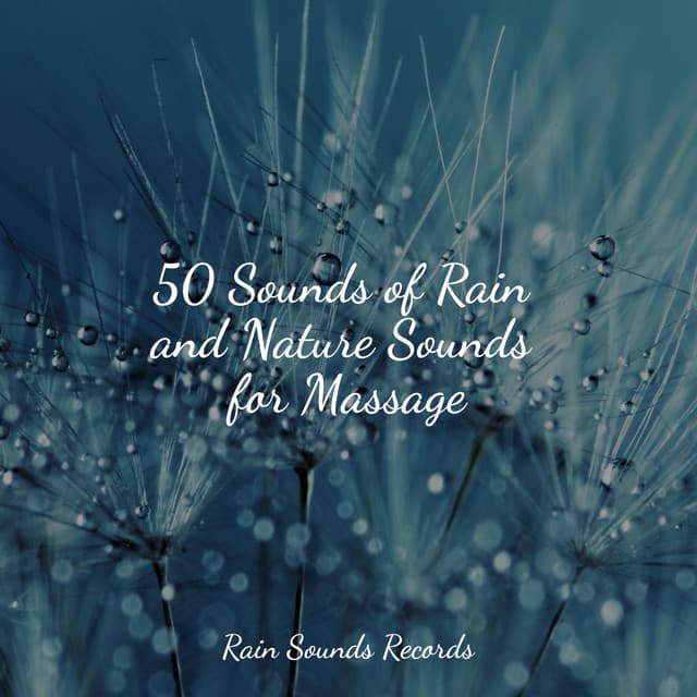 50 Sounds of Rain and Nature Sounds for Massage - Brain Study Music Guys