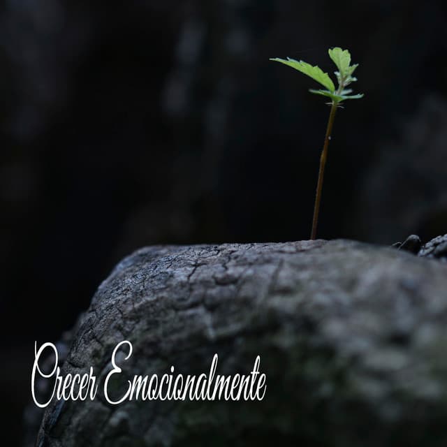 Crecer Emocionalmente - Ruido Perfecto