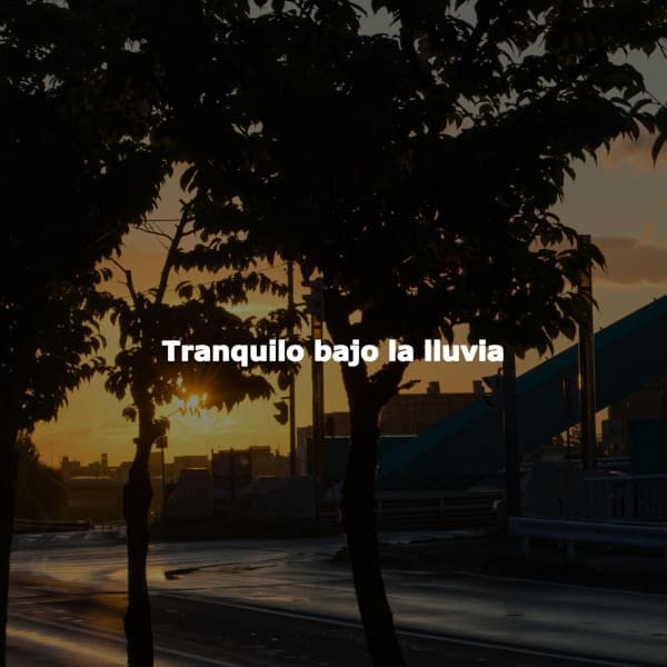 Tranquilo bajo la lluvia - Evening Jazz Bgm