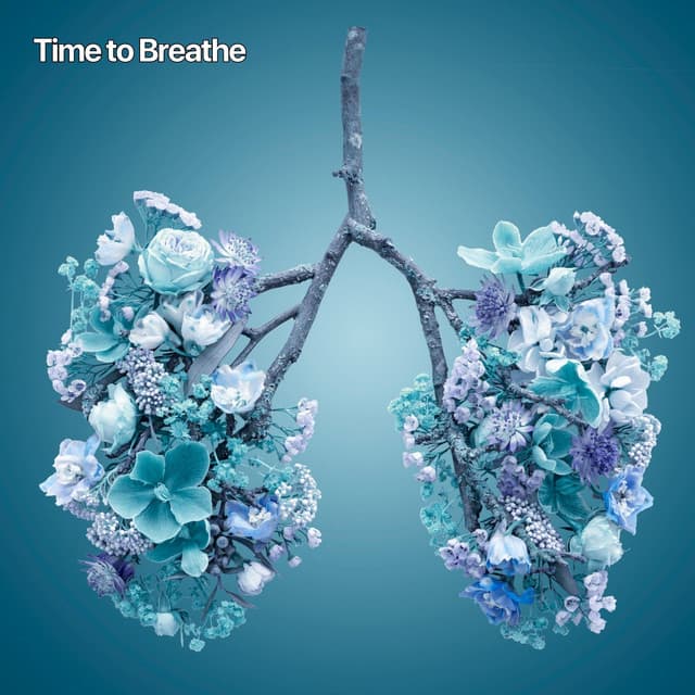 Time to Breathe - Deep Relaxation Meditation Academy