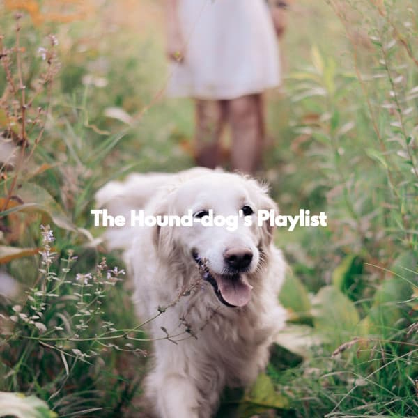 The Hound-dog's Playlist - Musica Relajante para Perros Momentos
