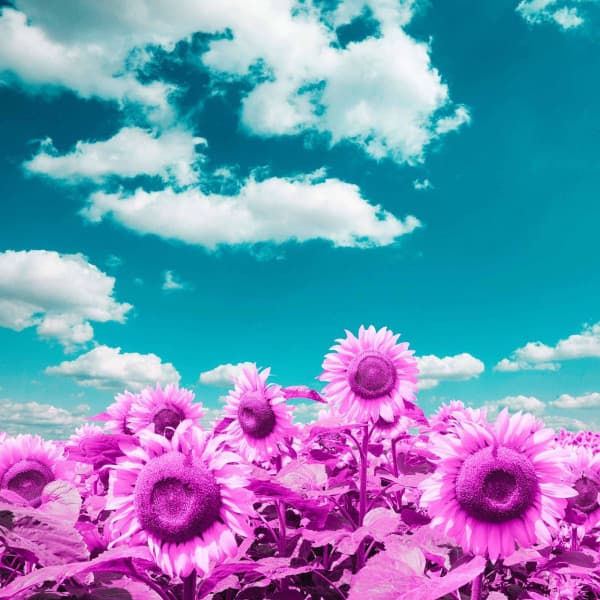 Music for Mythical Energies - Focus and Work