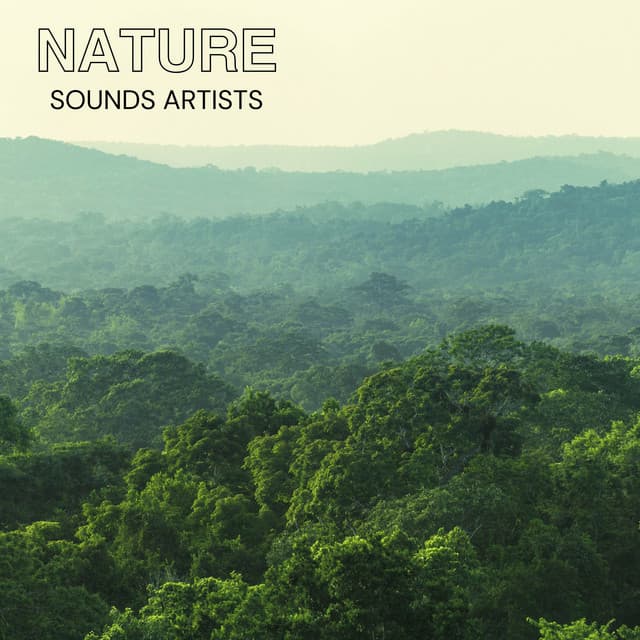 Tranquil Forest Path - Nature Sounds Artists