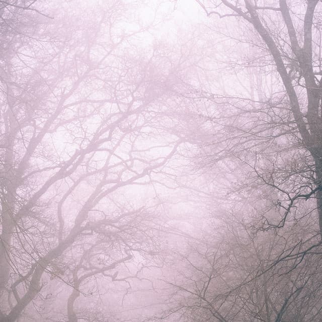 1 Rainy Night: Calm Winds & Ambient Melodies - 24H Rain Sounds