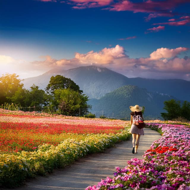 Armonías Reconfortantes: Música Para Una Relajación Pura - Sonidos de la naturaleza con música