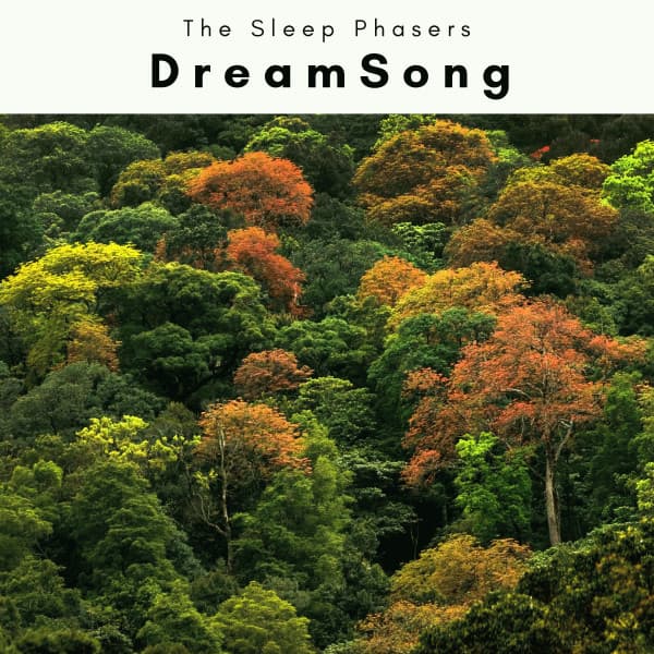 2022 DreamSong - The Sleep Phasers