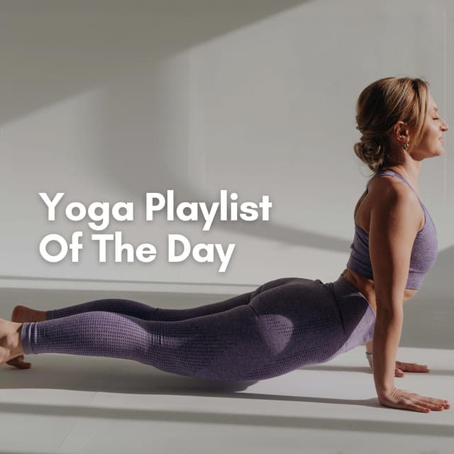Yoga Playlist of the Day - Yoga & Meditación