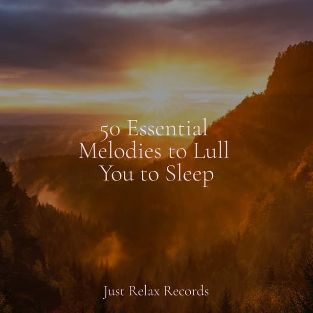 50 Essential Melodies to Lull You to Sleep - Musica Reiki