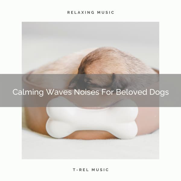 Calming Waves Noises For Beloved Dogs - Dog Total Relax