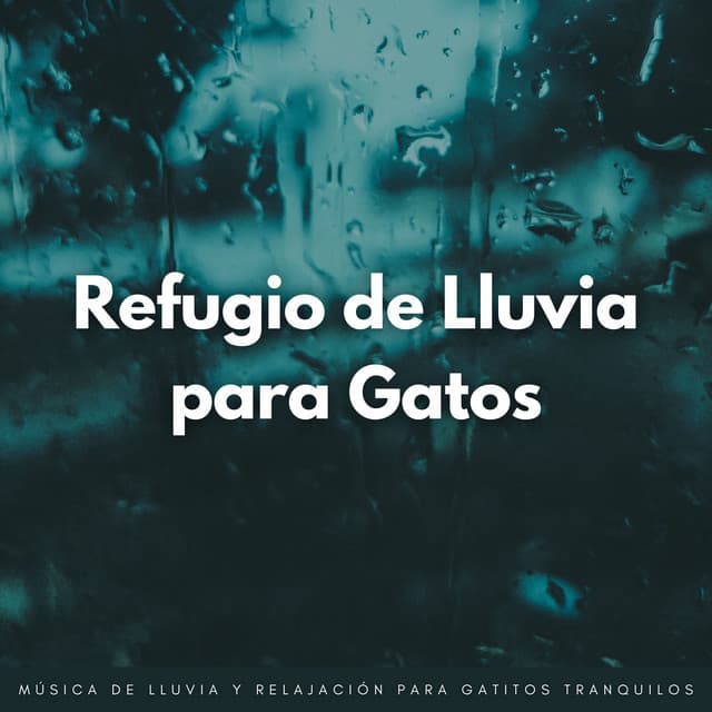 Refugio De Lluvia Para Gatos: Música De Lluvia Y Relajación Para Gatitos Tranquilos - Lluvia en España