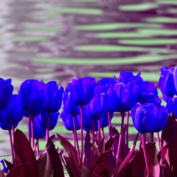 Lo-fi - Background for Chill Out Time - Lofi Beats for Work