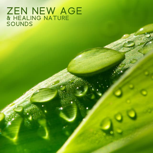 Zen New Age & Healing Nature Sounds: Relaxation Therapy Music for Massage, Spa, Meditation, Reiki, Yoga, Sleep and Study - Deep Visualization Zen