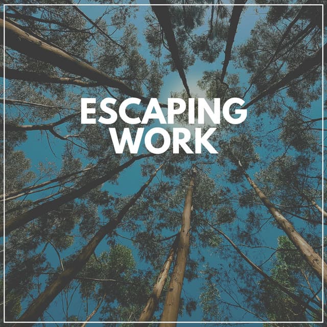 Escaping Work - Forest Soundscapes