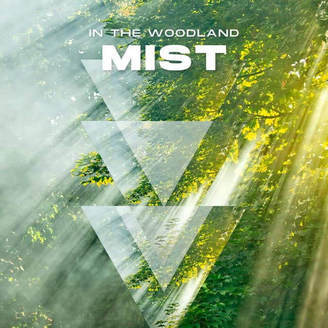 In the Woodland Mist - Yaraquana