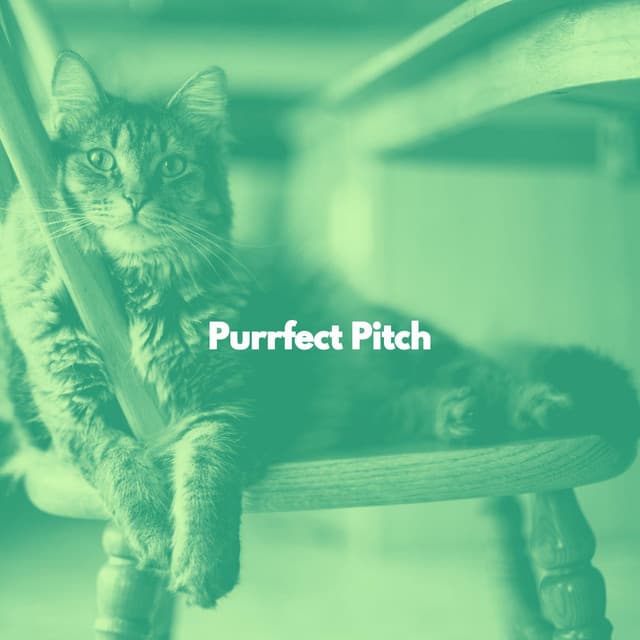 Purrfect Pitch - Música para dormir Gatos