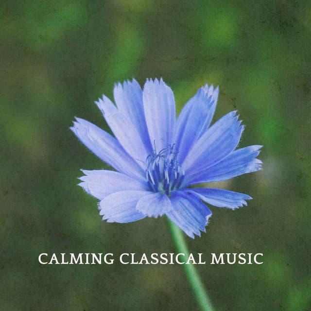 Calming Classical Music - Claude Debussy