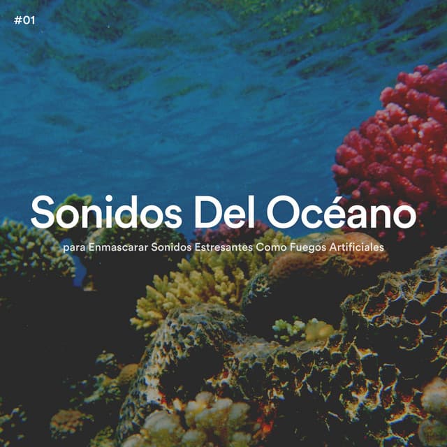 #01 Sonidos Del Océano para Enmascarar Sonidos Estresantes Como Fuegos Artificiales - Olas del Mar