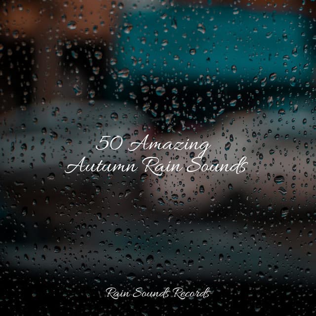 50 Amazing Autumn Rain Sounds - Meeresrauschen