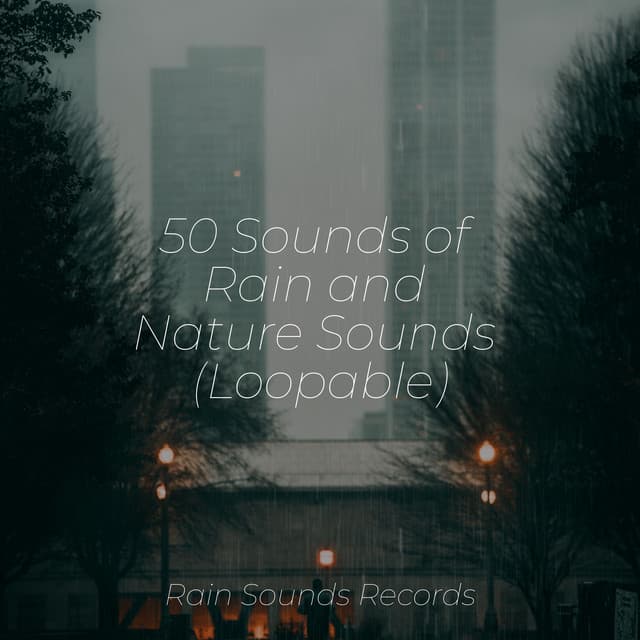 50 Sounds of Rain and Nature Sounds - Calming Sounds