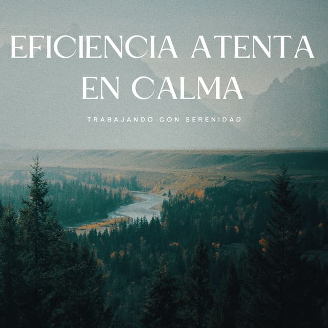 Eficiencia Atenta En Calma: Trabajando Con Serenidad - Musica de Trabajo Musica De Fondo