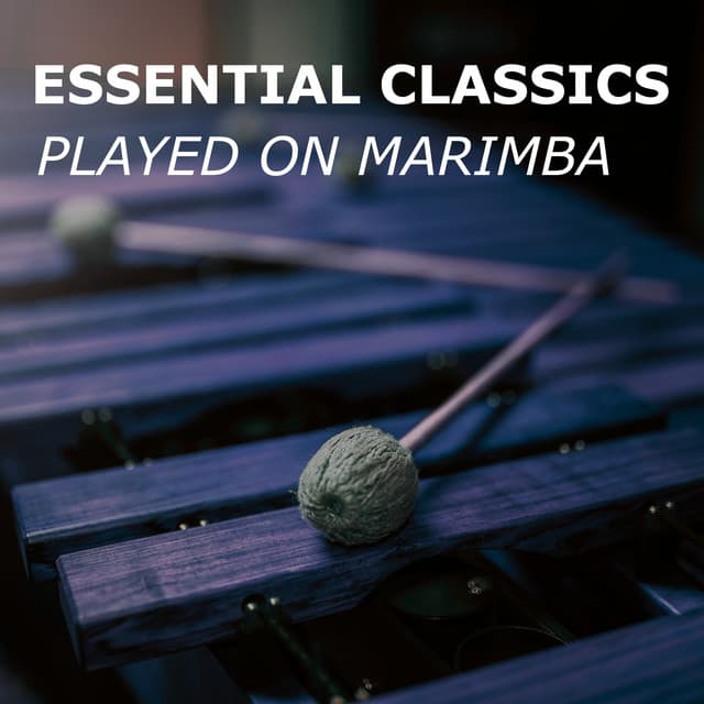 Marimba Guy