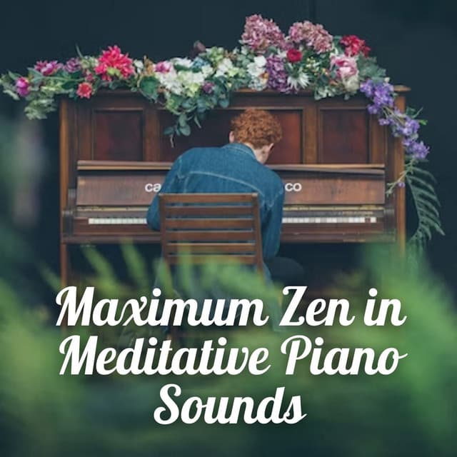 Maximum Zen in Meditative Piano Sounds - Piano Music For Quiet Moments