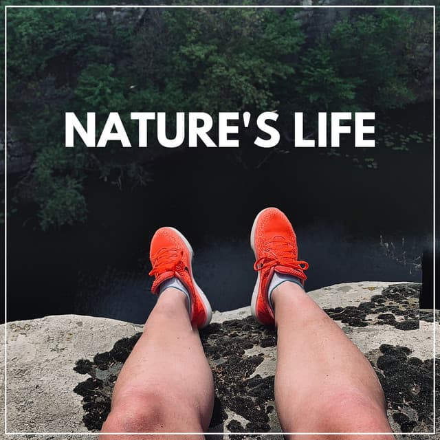 Nature's Life - Mother Nature Sound FX