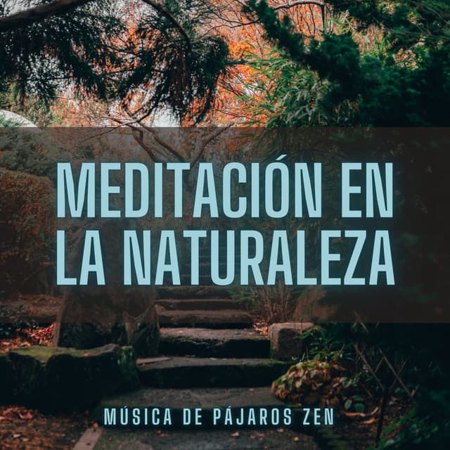 Meditación En La Naturaleza: Música De Pájaros Zen - Astro laboratorio binaural