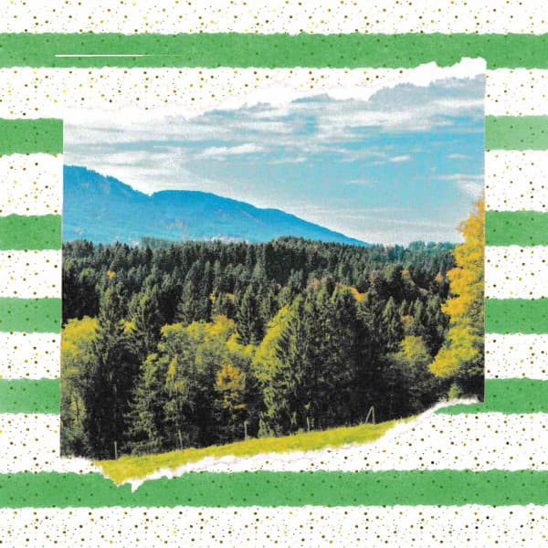 Backdrop for Sunny Sunday - Charming Jazz Quintet - Dinner Music Classics