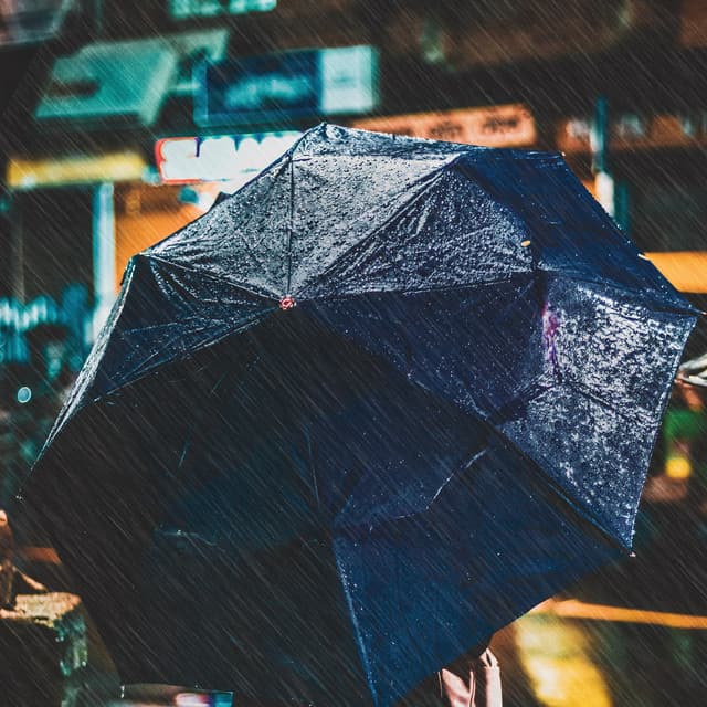 Rainfall Soothing Sleep Sound - Deep Sleep Rain Sounds