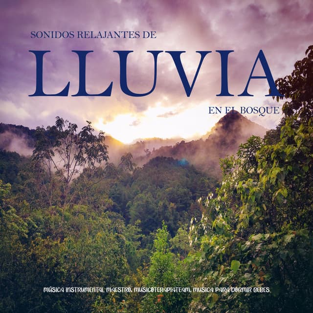 Sonidos Relajantes de Lluvia en el Bosque - Música Instrumental Maestro