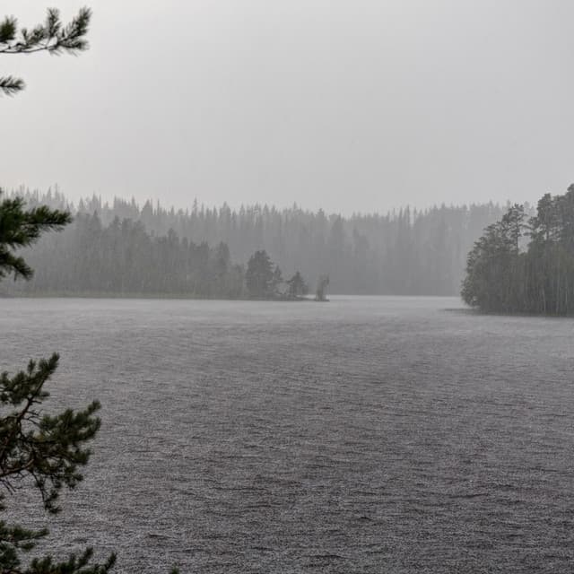 Celestial Showers: Soothing Rainfall for Tranquility - Summer Showers