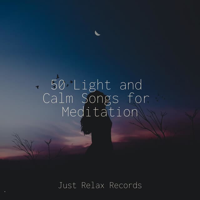 50 Light and Calm Songs for Meditation - Musica romantica instrumental