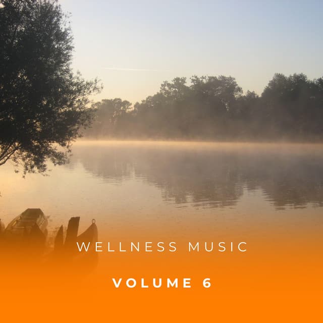 Wellness Music Vol. 6 - Soothing Sounds