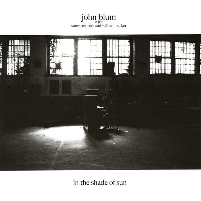 In the Shade of Sun - John Blum