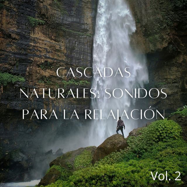 Cascadas Naturales: Sonidos Para La Relajación Vol. 2 - Estados de ánimo y sonidos de agua