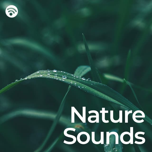 Nature Sounds: Noises for Relax and Sleep - Sons da Natureza