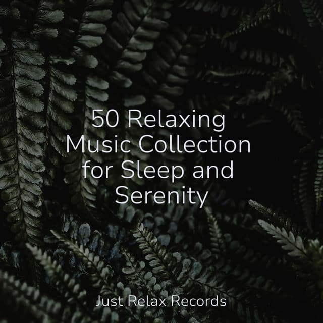 50 Relaxing Music Collection for Sleep and Serenity - Relaxing Music