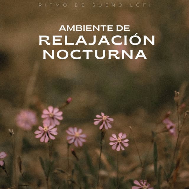 Dormir lofi