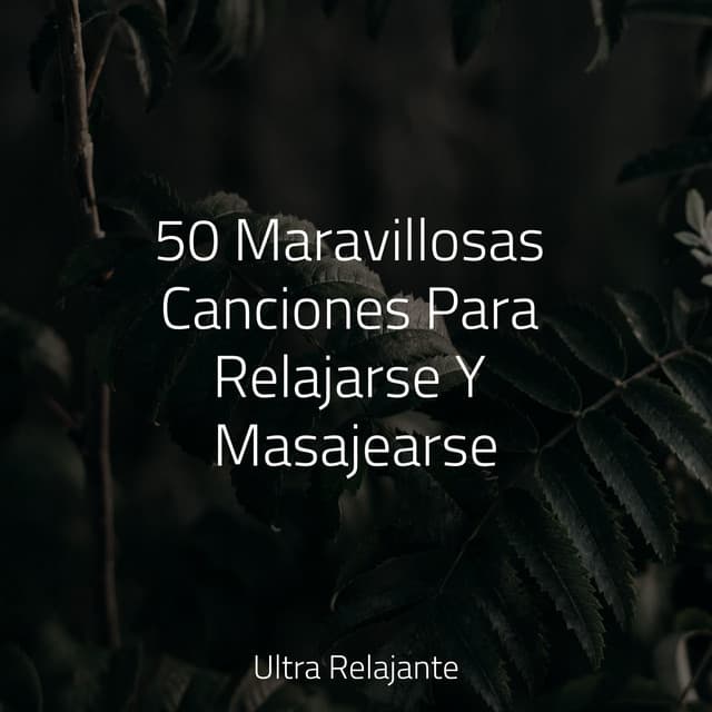 50 Maravillosas Canciones Para Relajarse Y Masajearse - Unidad de música zen relajante