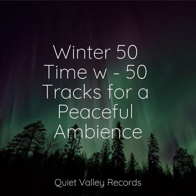 Winter 50 Time w - 50 Tracks for a Peaceful Ambience - 125 Nature Sounds