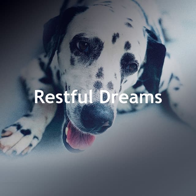 Restful Dreams - Puppy Sleep